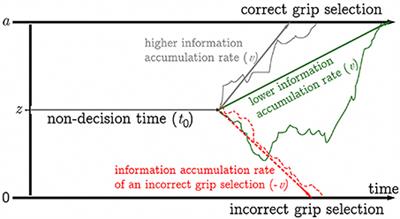 Efficiency in Rule- vs. Plan-Based Movements Is Modulated by Action-Mode